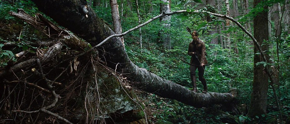 Cinematography Analysis Of Hunger Games (In Depth)