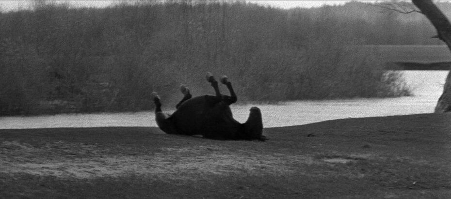 Cinematography Analysis Of Andrei Rublev (In Depth)