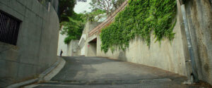 small_X2T2KGZS