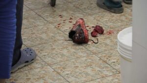 20 days in mariupol cinematography by evgeniy maloletka interior day establishing shot side lighting sunlight shot 049