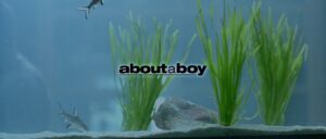 about a boy cinematography by remi adefarasin shot 10