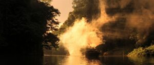apocalypse now cinematography by vittorio storaro day establishing shot shot 060
