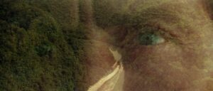 apocalypse now cinematography by vittorio storaro day establishing shot side lighting shot 020