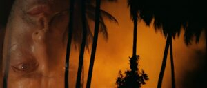 apocalypse now cinematography by vittorio storaro establishing shot shot 021