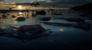 birdman cinematography by emmanuel lubezki establishing shot silhouette artificial light shot 058