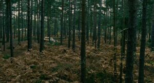 children of men cinematography by emmanuel lubezki establishing shot artificial light shot 005