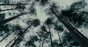 children of men cinematography by emmanuel lubezki exterior day establishing shot daylight shot 038