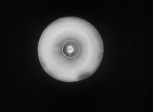 citizen kane cinematography by gregg toland establishing shot hard light artificial light shot 036