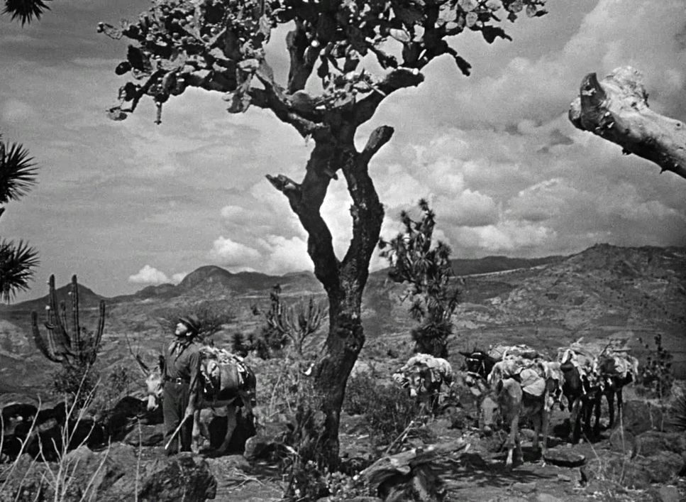 The Treasure of the Sierra Madre (1948) - Cinematography Analysis
