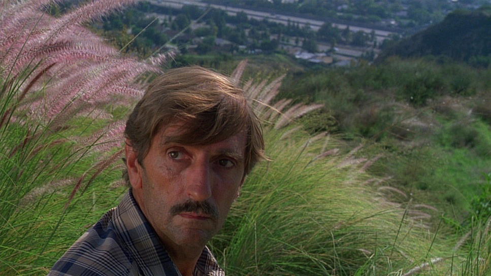 Paris, Texas (1984) - Cinematography Analysis