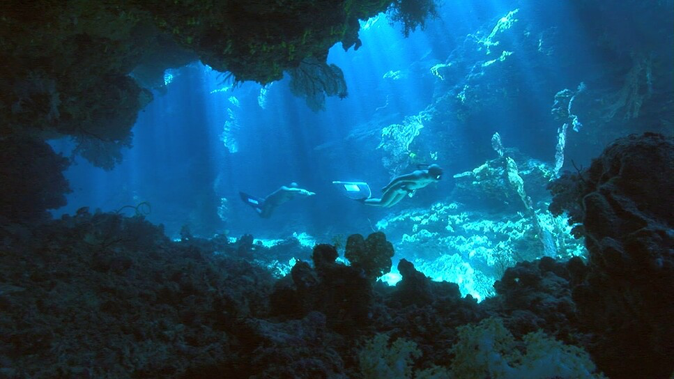 The Cove (2009) - Cinematography Analysis