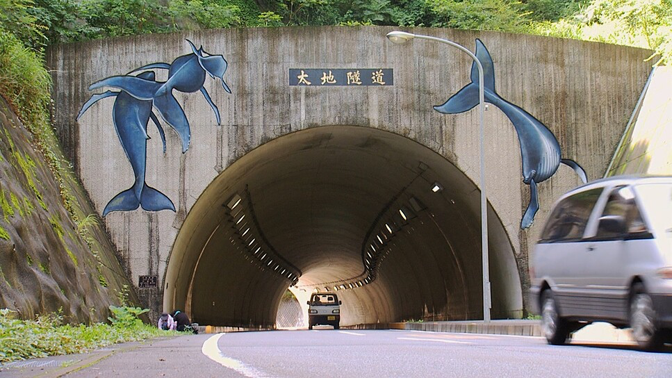 The Cove (2009) - Cinematography Analysis