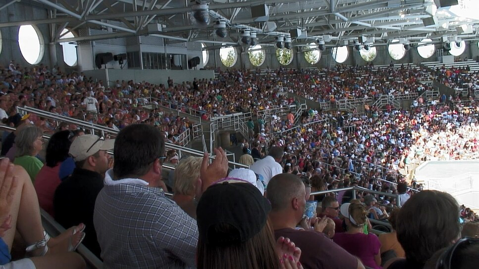 The Cove (2009) - Cinematography Analysis