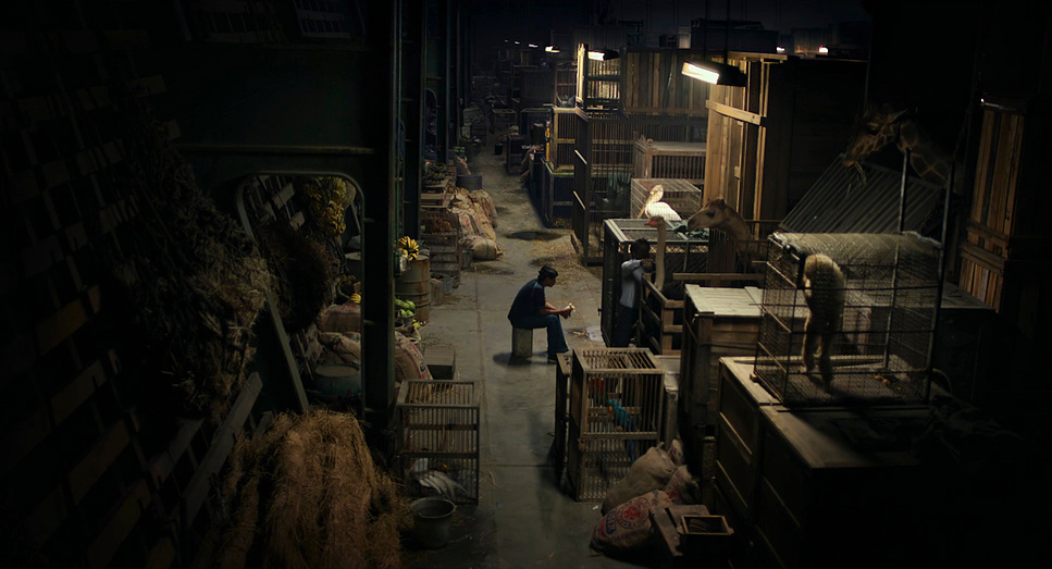 Life of Pi (2012) - Cinematography Analysis