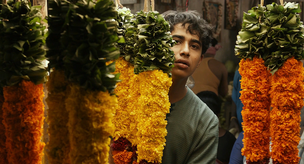 Life of Pi (2012) - Cinematography Analysis