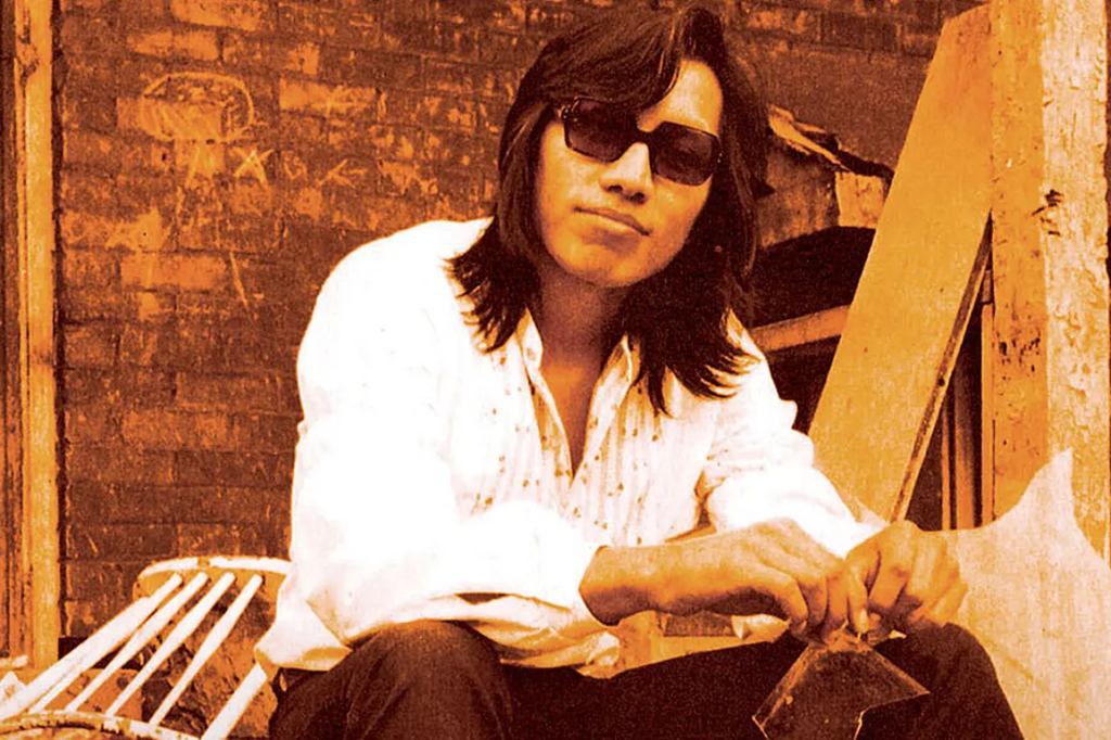 Searching for Sugar Man (2012) - Cinematography Analysis