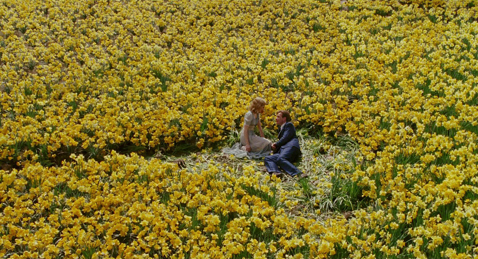 Big Fish (2003) - Cinematography Analysis