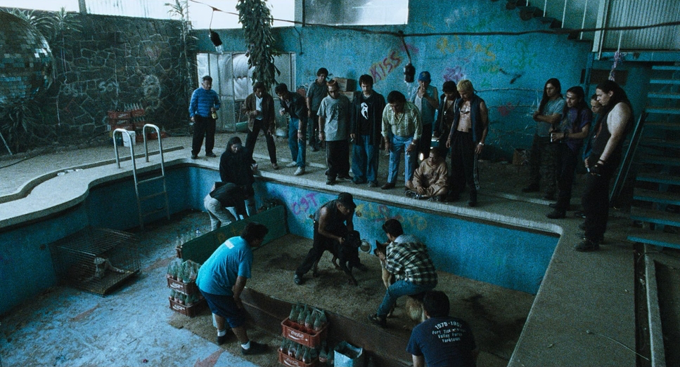 Amores Perros (2000) - Cinematography Analysis