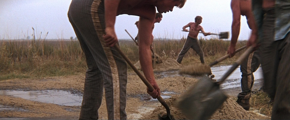 Cool Hand Luke (1967) - Cinematography Analysis