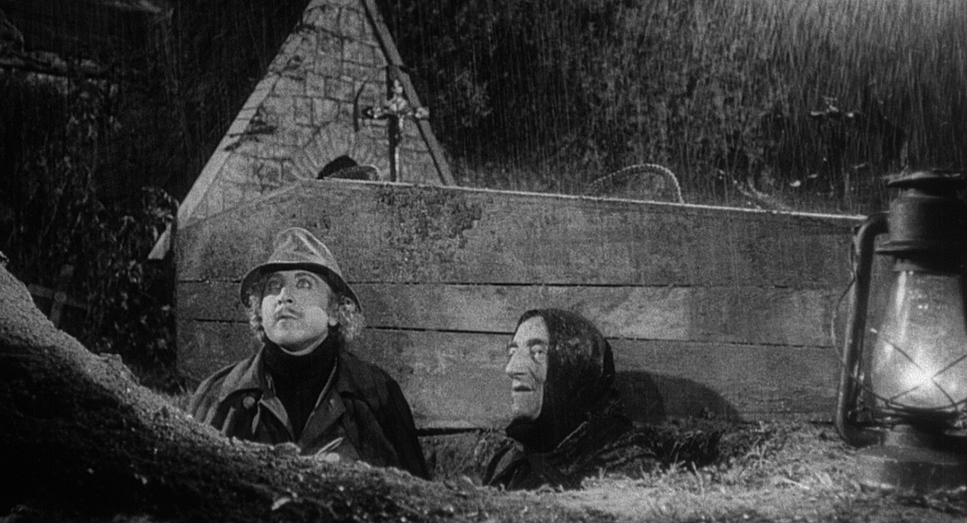Young Frankenstein (1974) - Cinematography Analysis