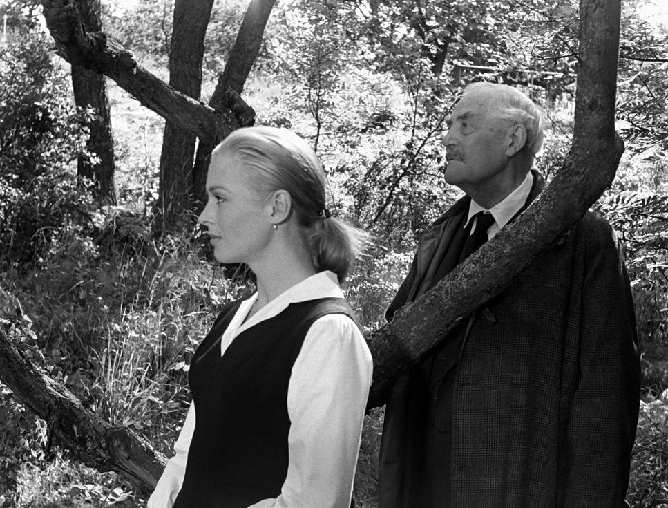 Wild Strawberries (1957) - Cinematography Analysis