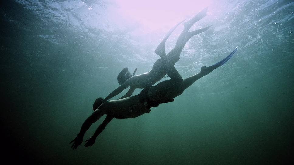 My Octopus Teacher (2020) - Cinematography Analysis