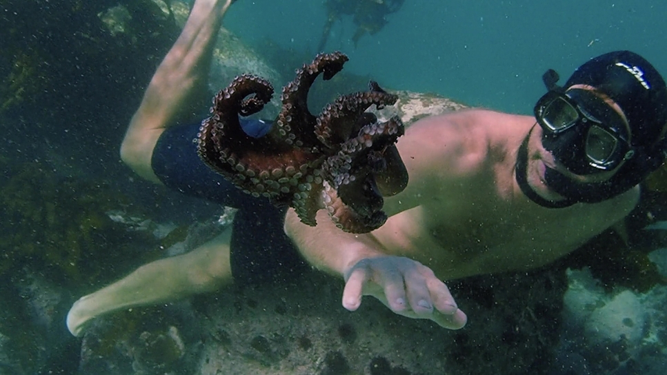 My Octopus Teacher (2020) - Cinematography Analysis