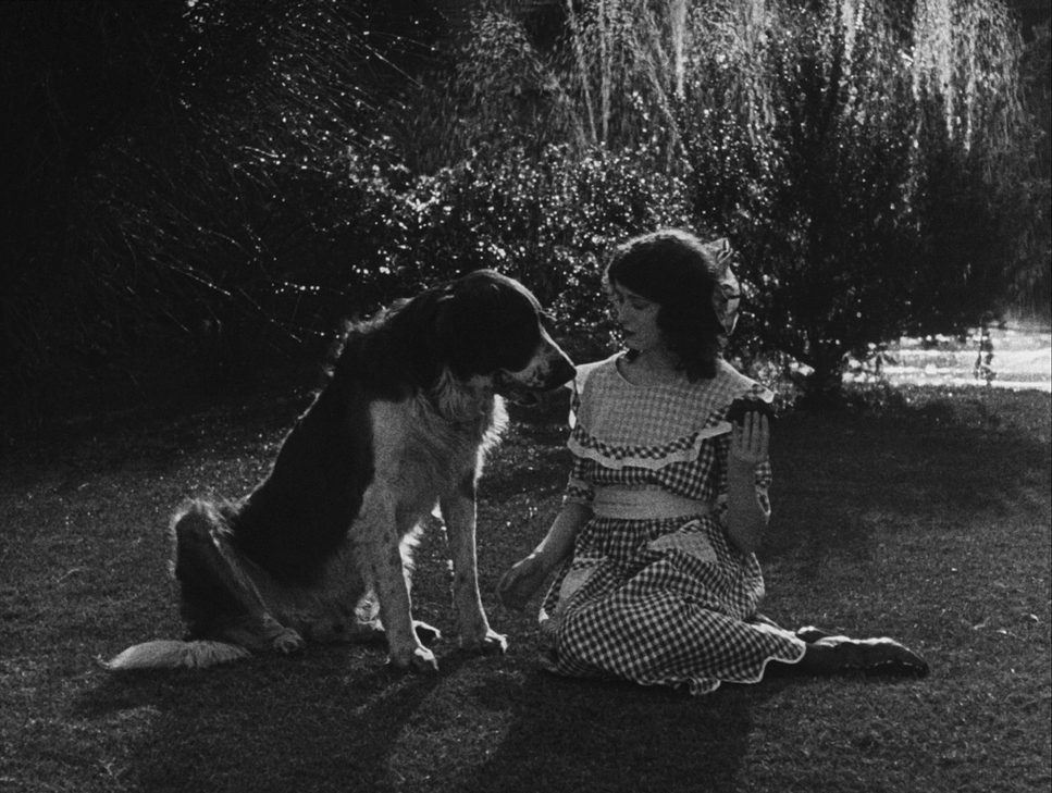 Sherlock Jr. (1924) - Cinematography Analysis