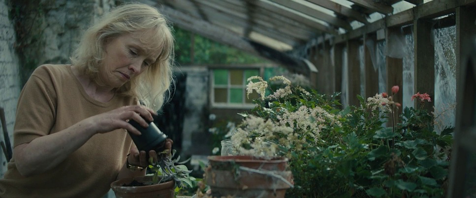 About Time (2013) - Cinematography Analysis