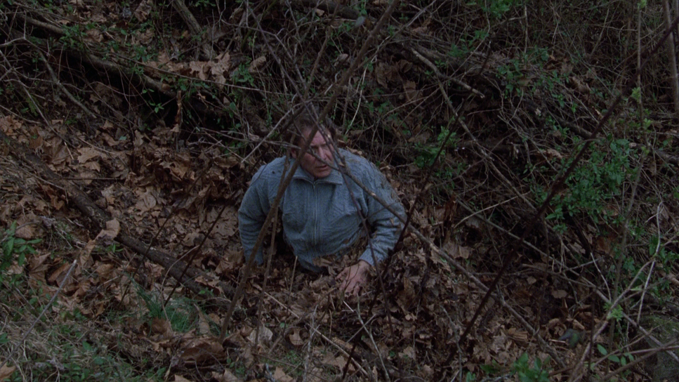 The Fugitive (1993) - Cinematography Analysis