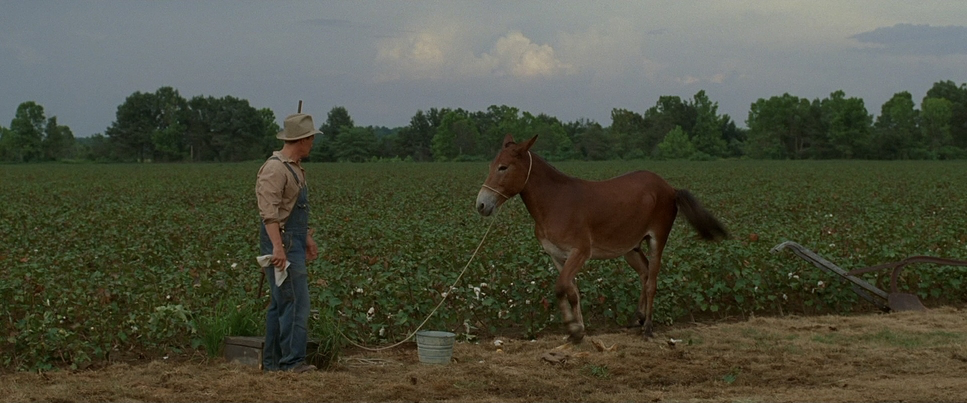 Walk the Line (2005) - Cinematography Analysis