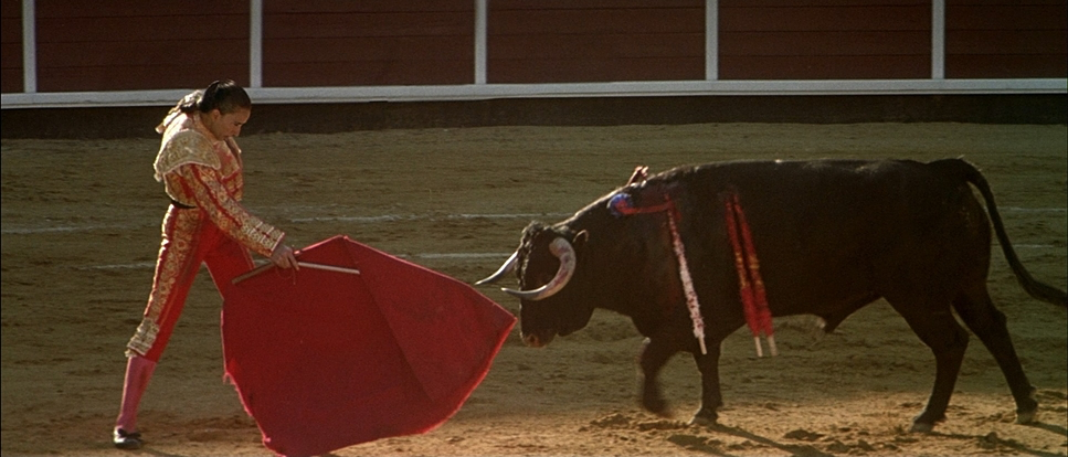 Talk to Her (2002) - Cinematography Analysis