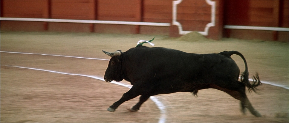 Talk to Her (2002) - Cinematography Analysis