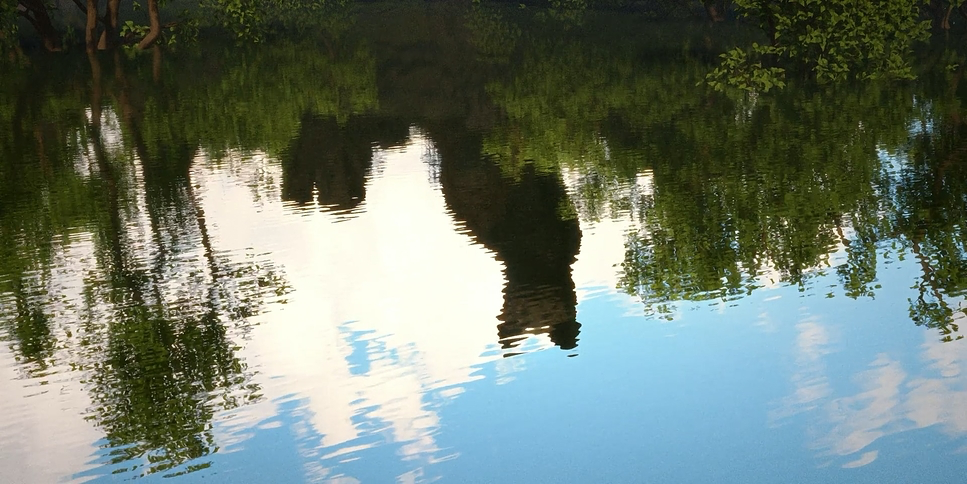 Flow (2024) - Cinematography Analysis