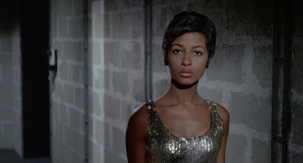 Le Samouraï (1967) - Cinematography Analysis