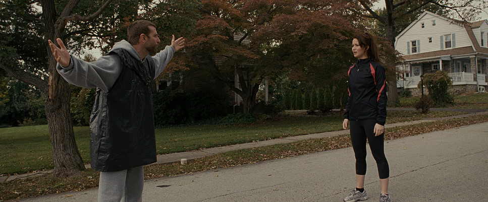 Silver Linings Playbook (2012) - Cinematography Analysis
