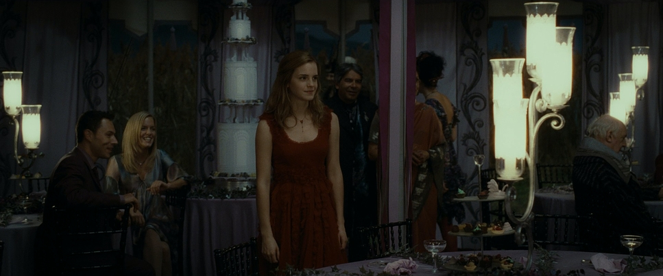 Harry Potter and the Deathly Hallows: Part 1 (2010) - Cinematography Analysis