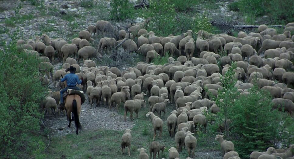 Brokeback Mountain (2005) - Cinematography Analysis