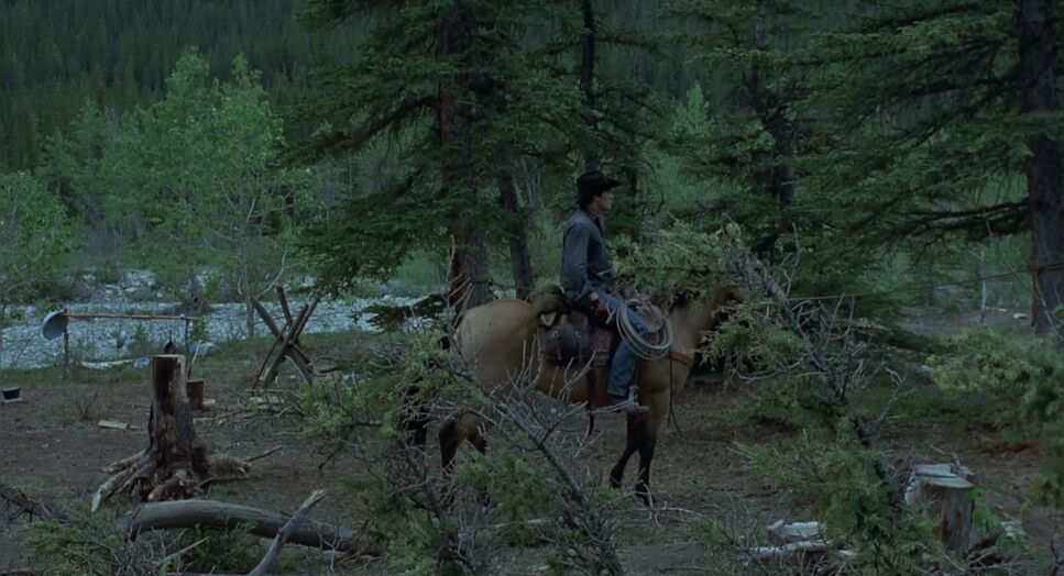 Brokeback Mountain (2005) - Cinematography Analysis