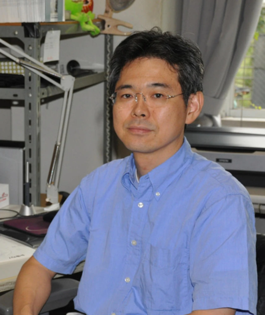 HOWL'S MOVING CASTLE (2004) - CINEMATOGRAPHY ANALYSIS