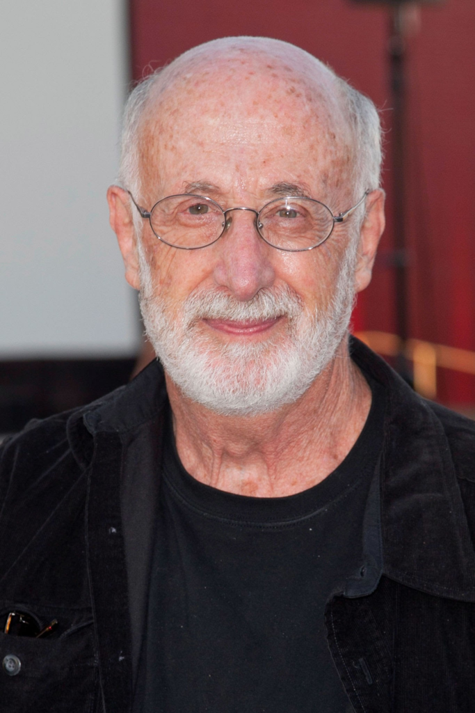 The Help (2011) - Cinematography Analysis