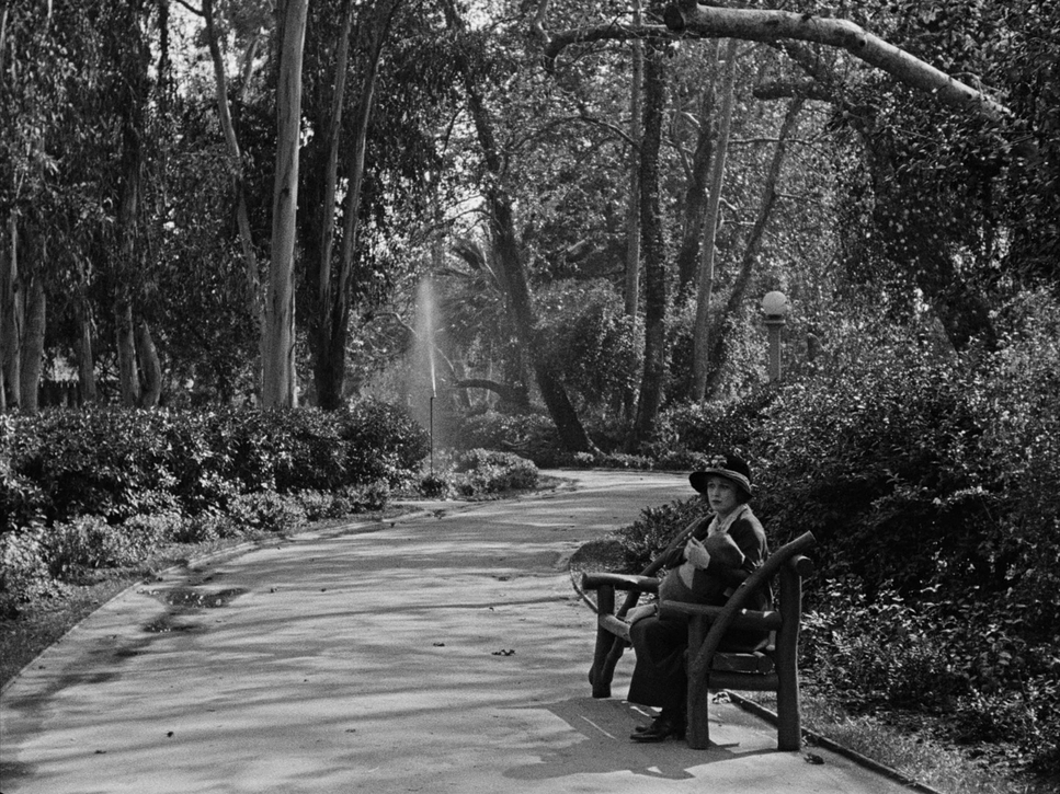 The Kid (1921) - Cinematography Analysis