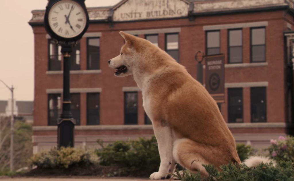 Hachi: A Dog's Tale (2009) - Cinematography Analysis