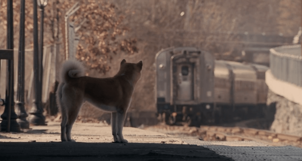 Hachi: A Dog's Tale (2009) - Cinematography Analysis