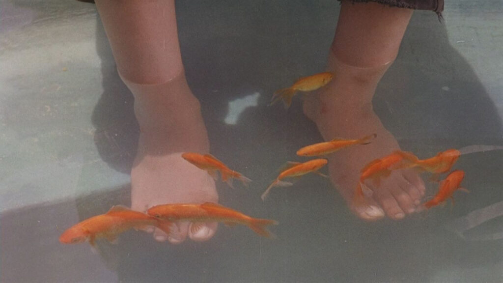 Children of Heaven (1997) - Cinematography Analysis