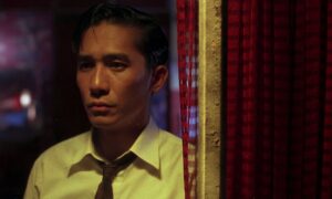 in the mood for love cinematography by christopher doyle extreme close up hard light artificial light shot 014