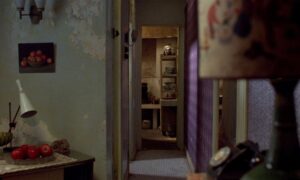in the mood for love cinematography by christopher doyle interior establishing shot shot 027