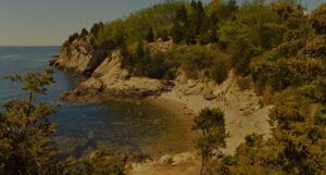 moonrise kingdom cinematography by robert d yeoman day establishing shot shot 049