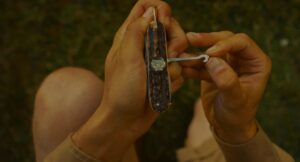 moonrise kingdom cinematography by robert d yeoman extreme close up artificial light shot 069