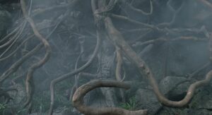 predator cinematography by donald mcalpine day establishing shot overcast shot 053